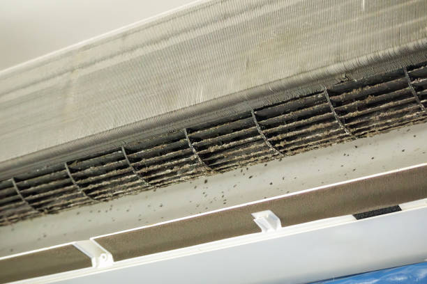 Best Local Air Duct Cleaning Services  in On Top Of The World Designated Place, FL